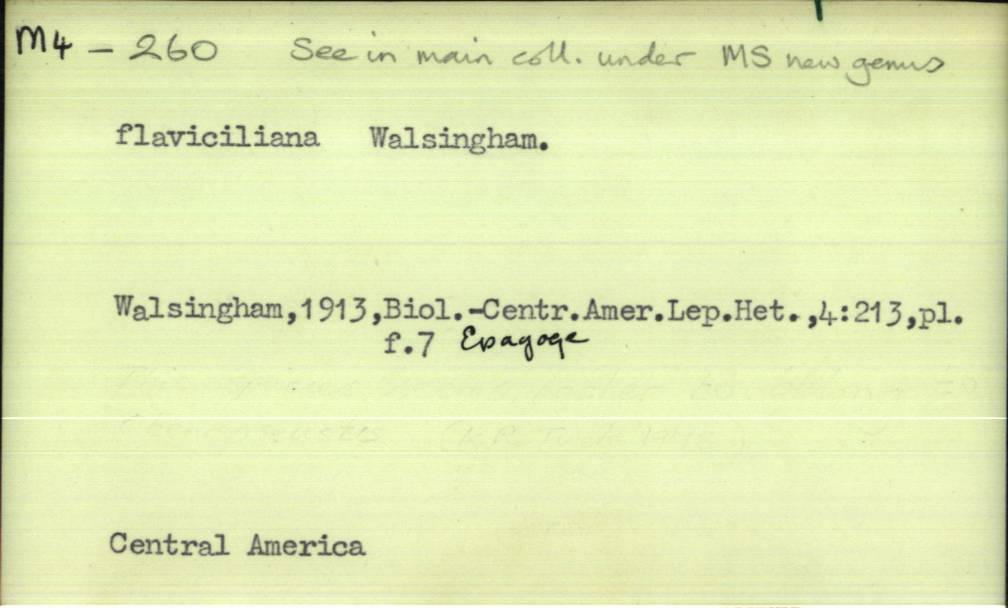 front of card
